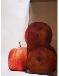 Dampfbadtür Glasfarbe Bronze 2