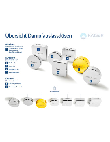 Dampfgenerator TOLO