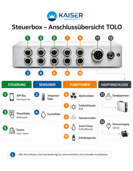 Dampfgenerator TOLO